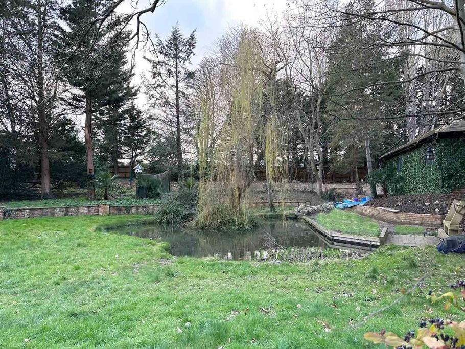 Forest Studio Apartment Gated Parking On 2 Acres Garden Chislehurst Exteriér fotografie